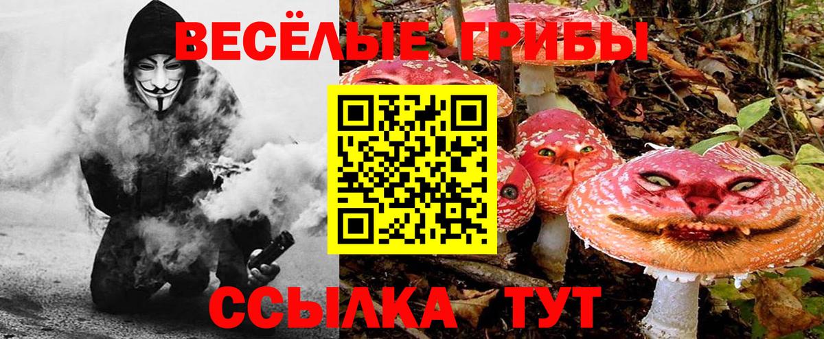 Галлюциногенные грибы GOLDEN TEACHER  Псилоцибиновые грибы MAGIC MUSHROOMS  Вход с VPN  купить  сайты  Ливны 
